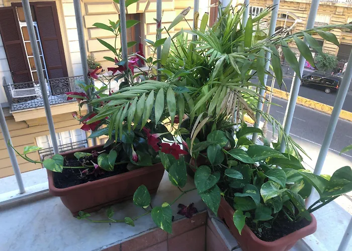 Quattro Palazzi Centro